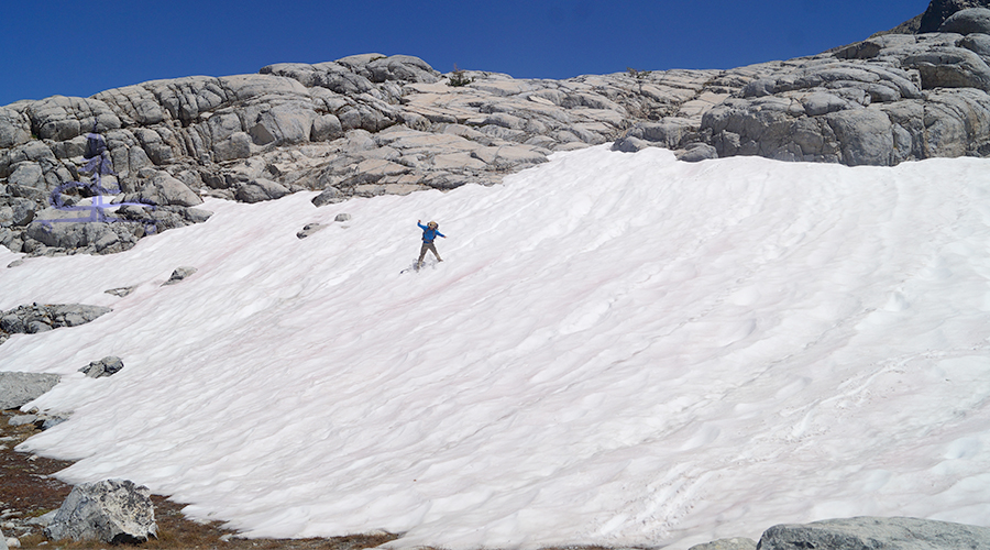 sliding down the snowy mountainside