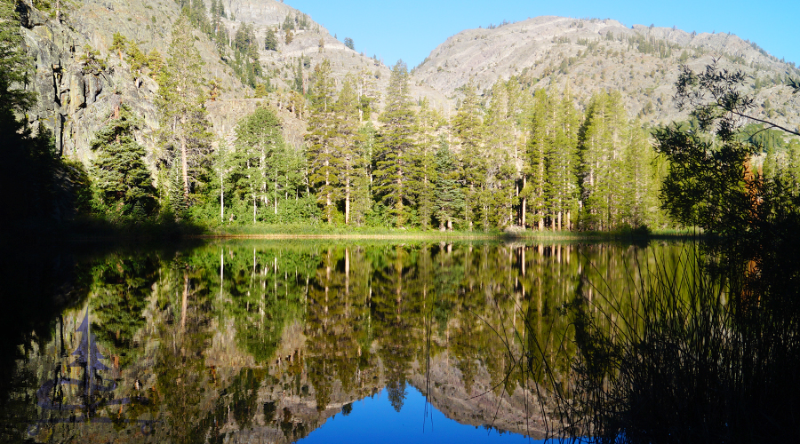 beautiful calm reflection in olaine lake