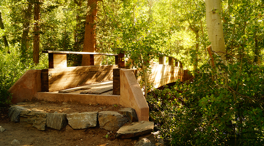 bridge over a creek in the woods