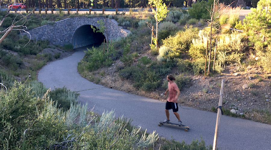 lost coast longboarding on shady rest trail