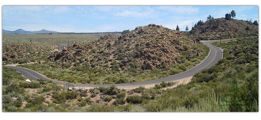 longboarding the large downhill curve 