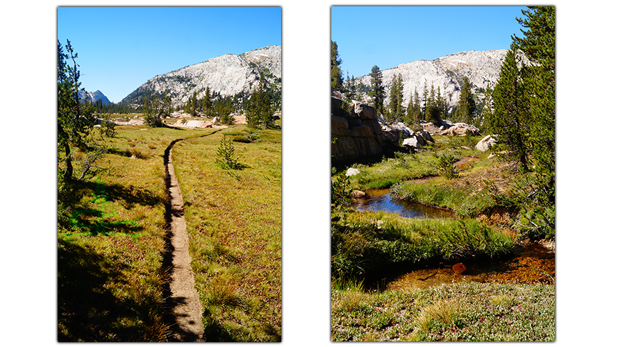 kerrick meadows section of backpacking peeler lake loop