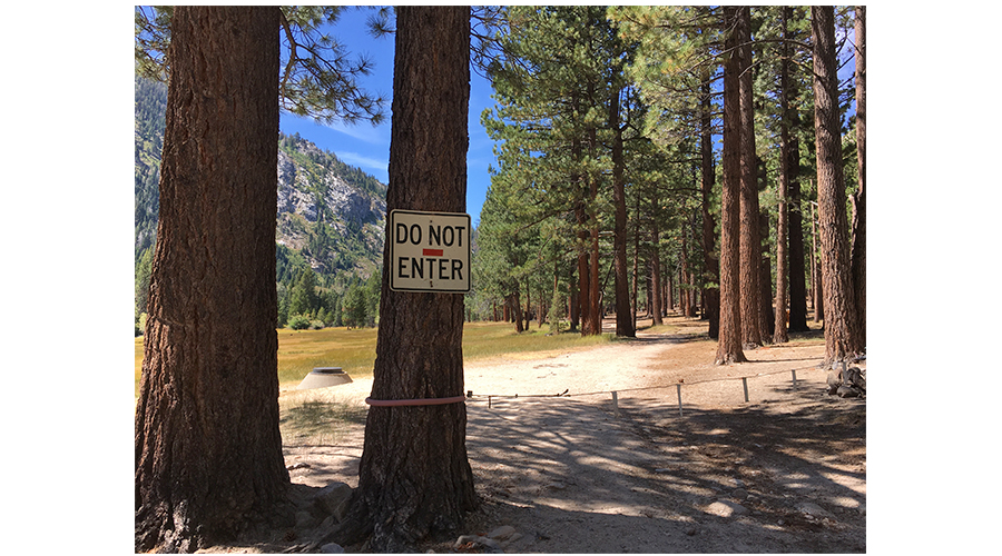 the beginning of the peeler lake loop trail