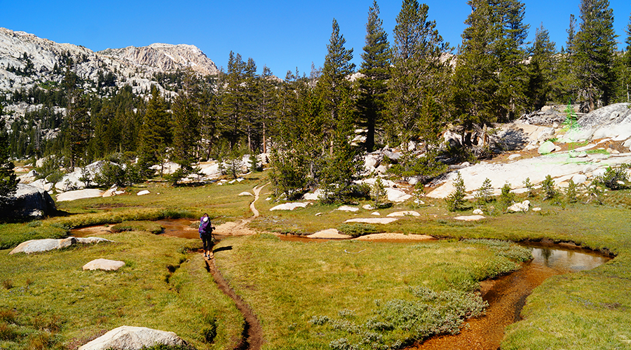 beautiful scenic section of kerrick meadows