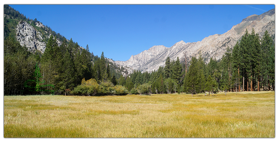 beautiful meadow where the trail begins