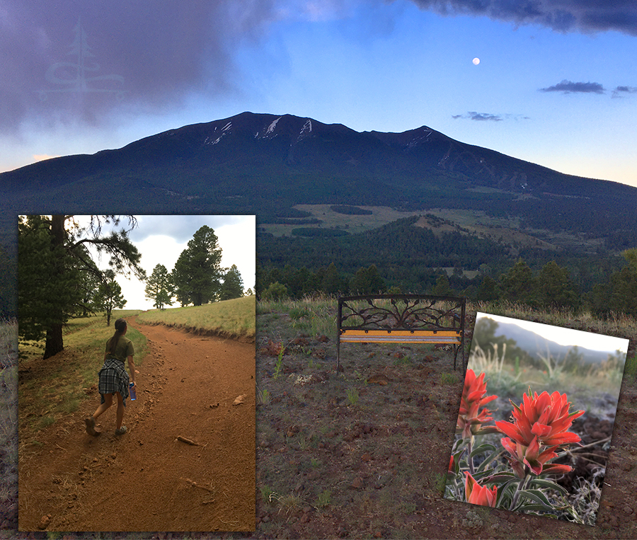 cool adventure we found while camping near flagstaff