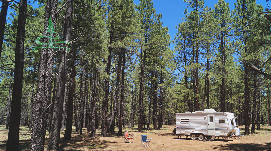 camping near flagstaff among the trees