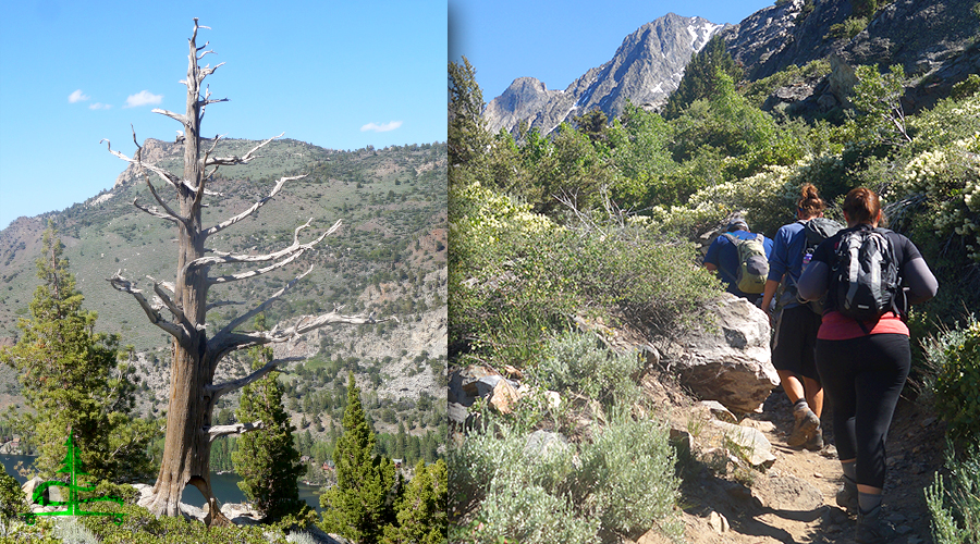 hiking rush creek trail to agnew lake