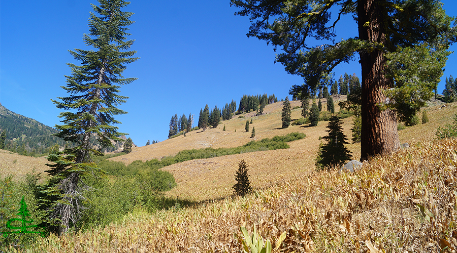 beautiful scenery along the trail