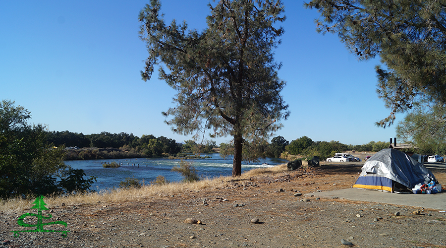 campspot under the tree at oroville wildlife area
