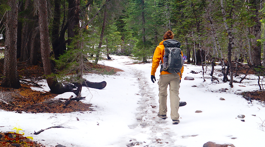 snow along the trail