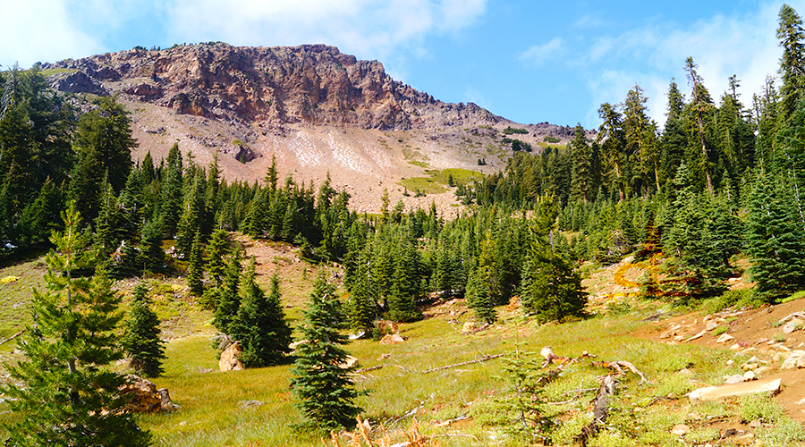 diversity along the trail while hiking brokeoff mountain