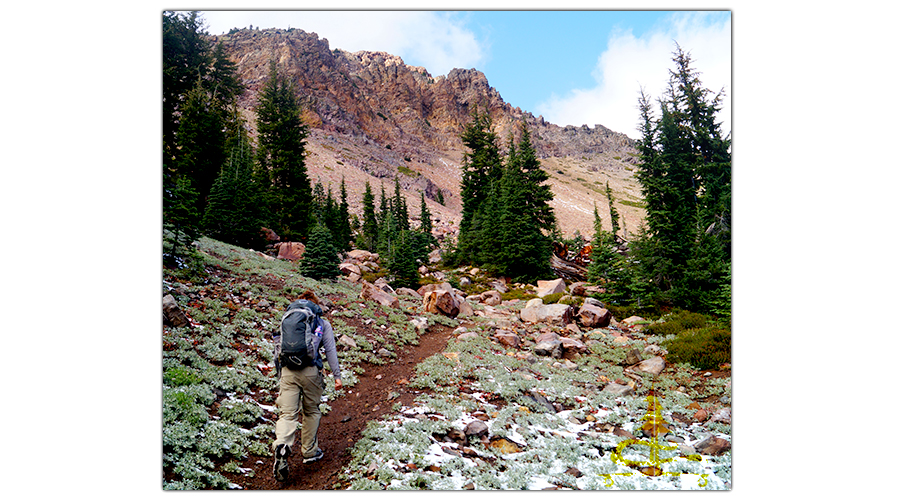 coming out of the trees as we approach brokeoff mountain