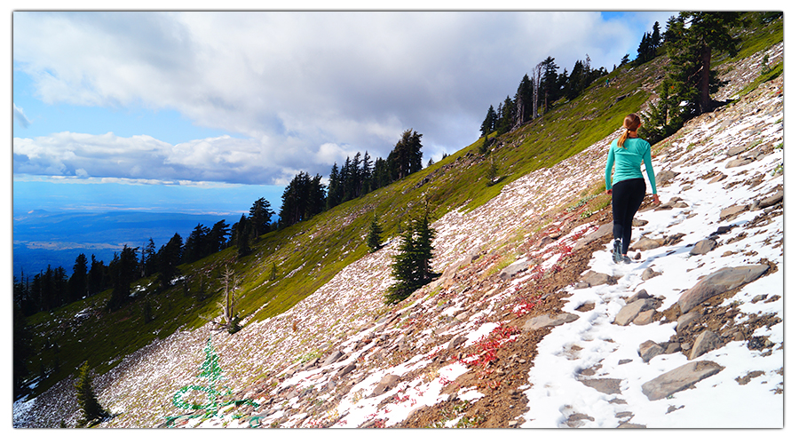 colorful, scenic and angled section of trail