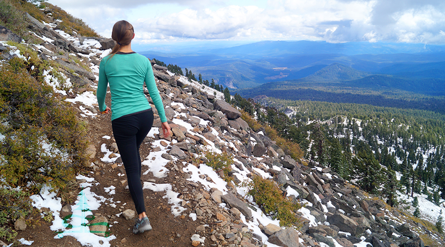 switchbacks above the treeline