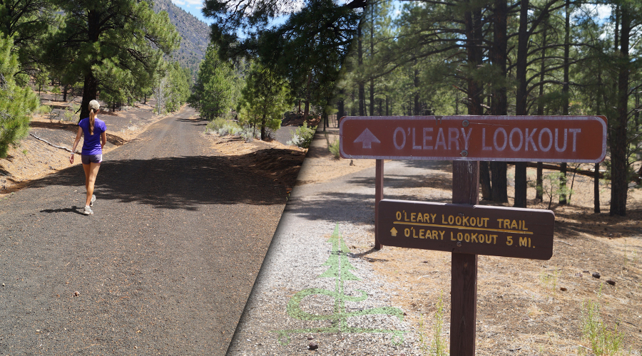 trailhead for hiking to o'leary lookout