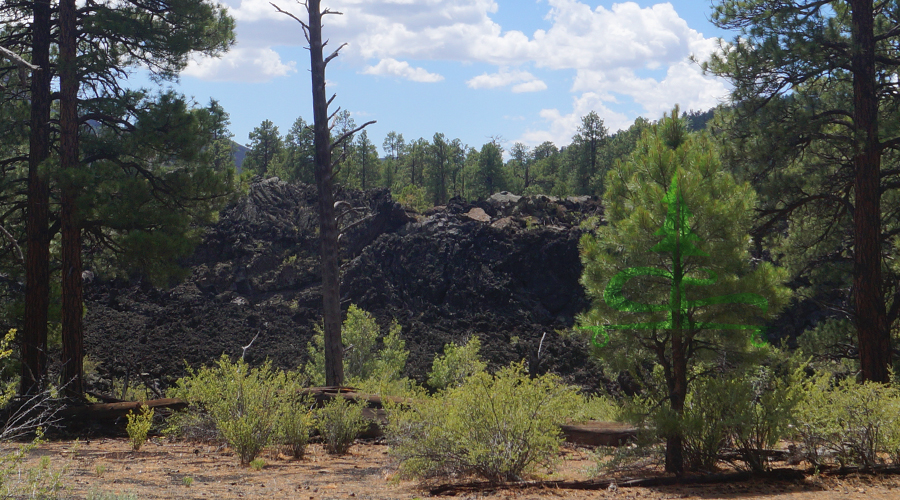 lava flow cinder along the trail