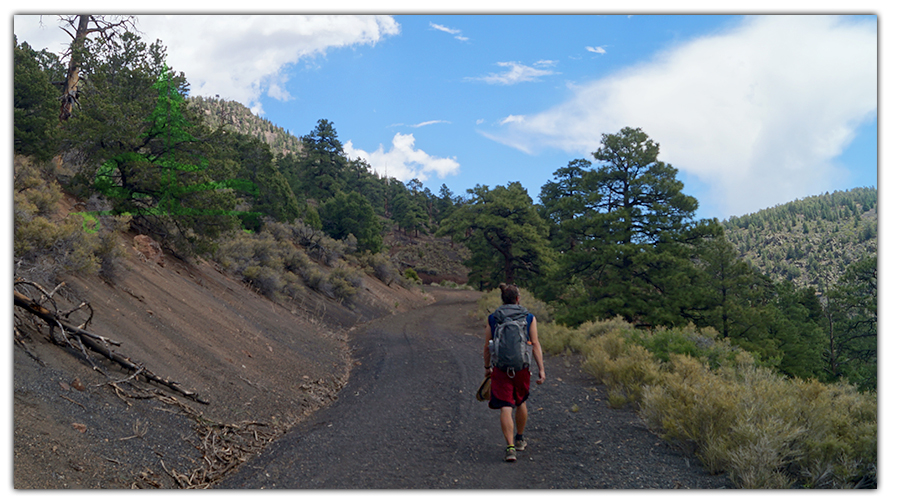 hiking to o'leary lookout on the black cinder access road