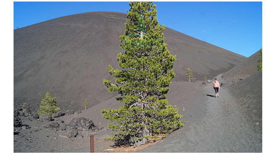 taking a side trip up cinder cone on our backpacking lassen volcanic national park trip