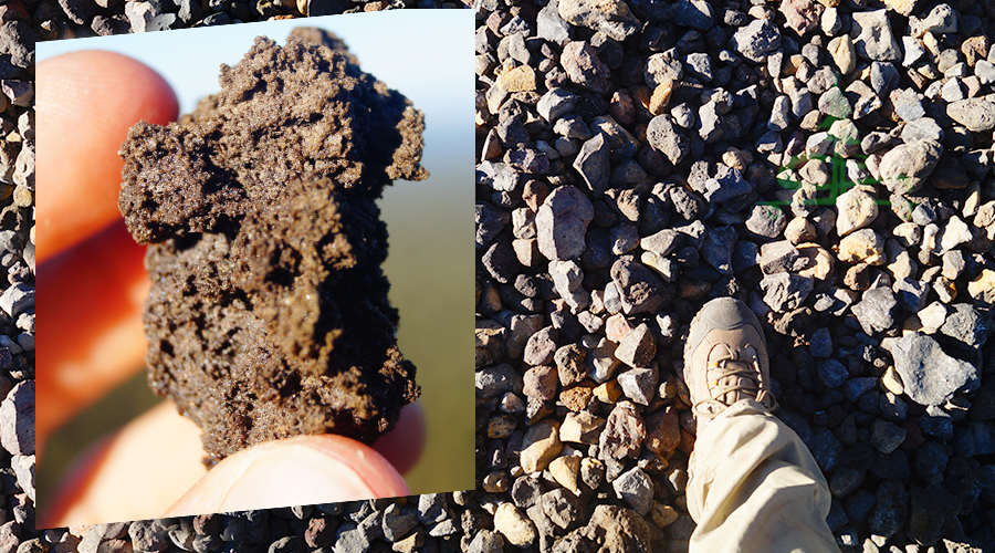 an up close view of the lava rocks underfoot