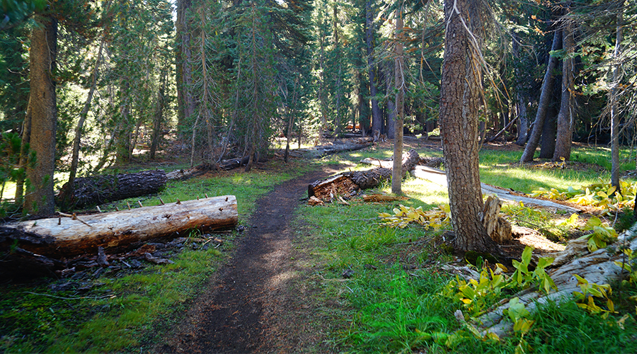 backpacking lassen volcanic national park begins with a gentle walk through the woods