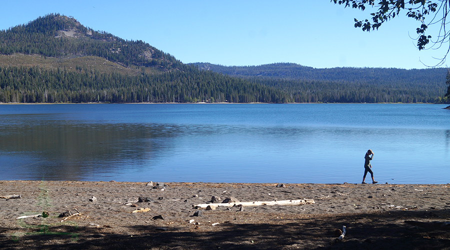 walking the shore of snag lake