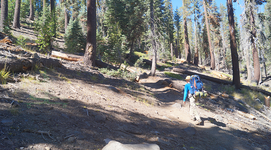 steep climb through the woods