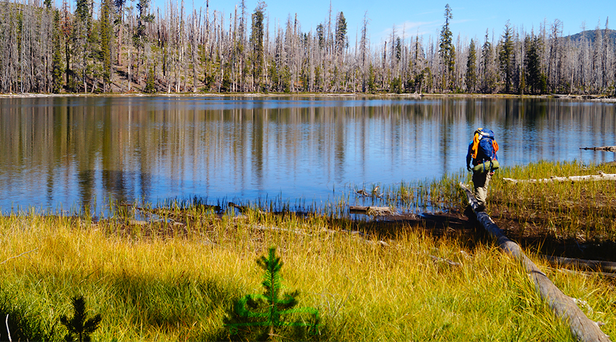 little bear lake