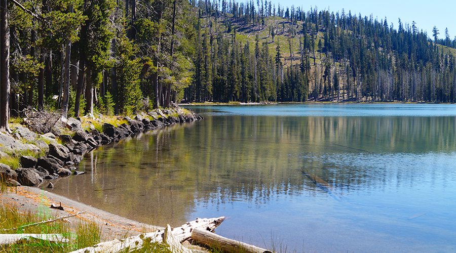 the shore of lower twin lake