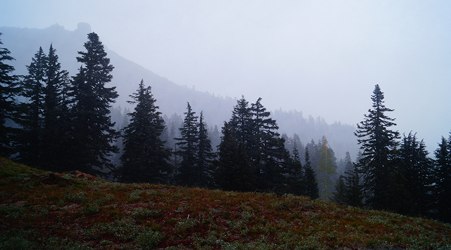 snowing on our way down from ridge lakes