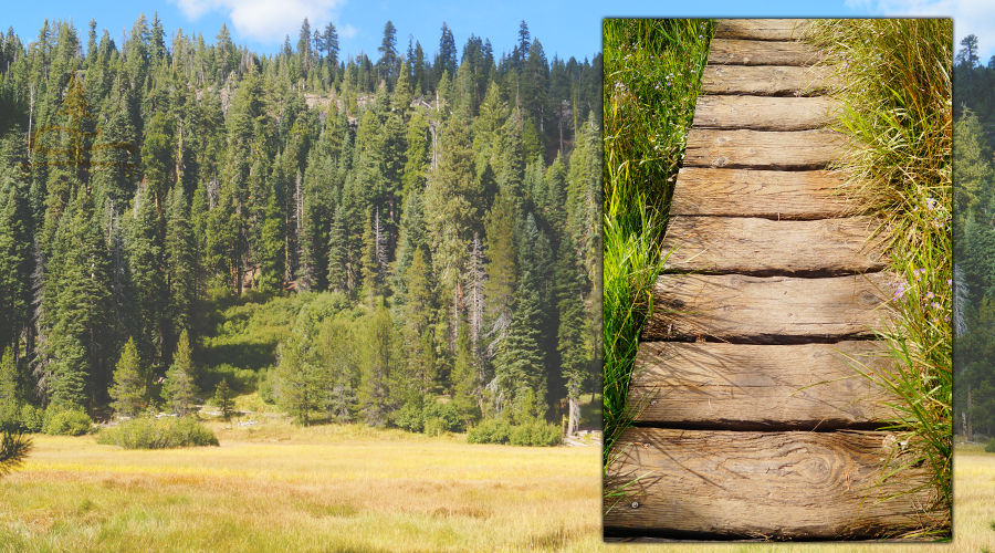 boardwalk through the meadow near warner valley trailhead