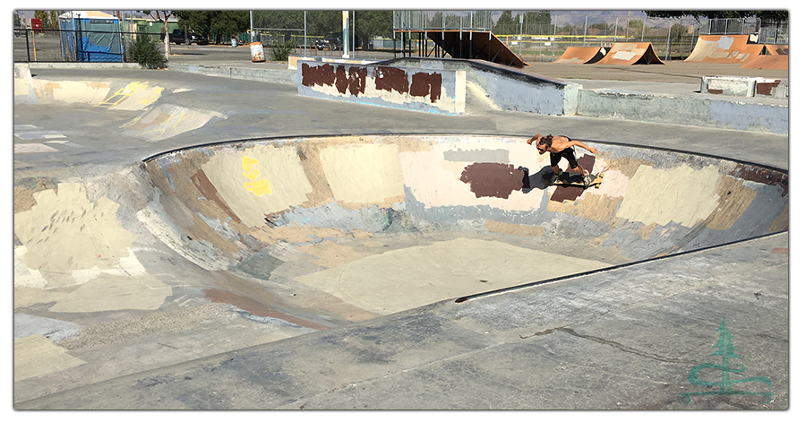 longboarding at hollister skatepark 