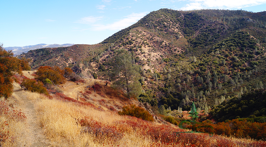 beautiful views while exploring the area while camping near pinnacles national park