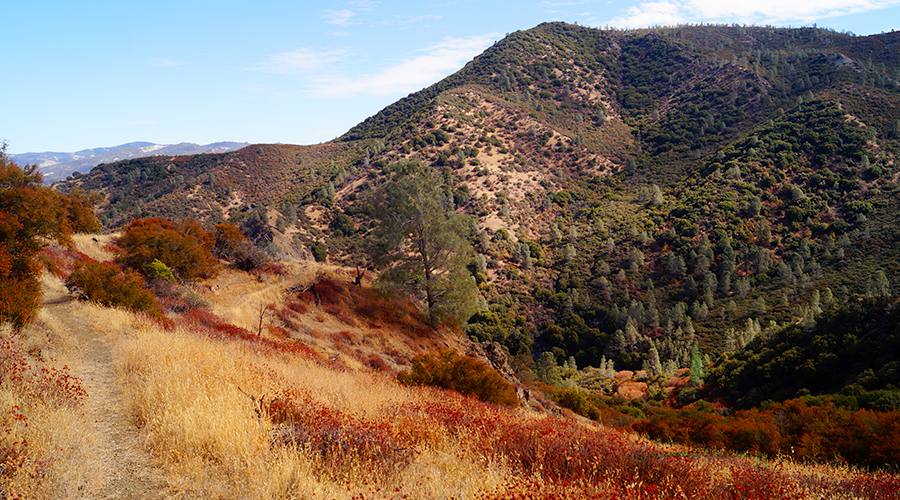 trail to laguna falls