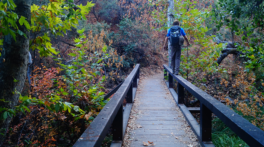 such diversity on hikes in pinnacles national park