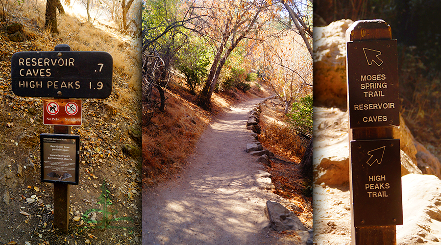 trail signs for hikes in pinnacles national park