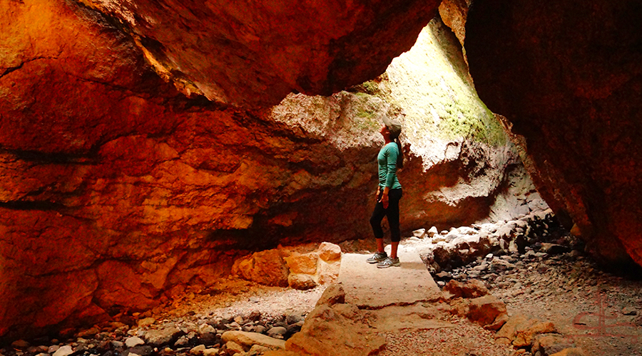 admiring the rock formations from beneath them