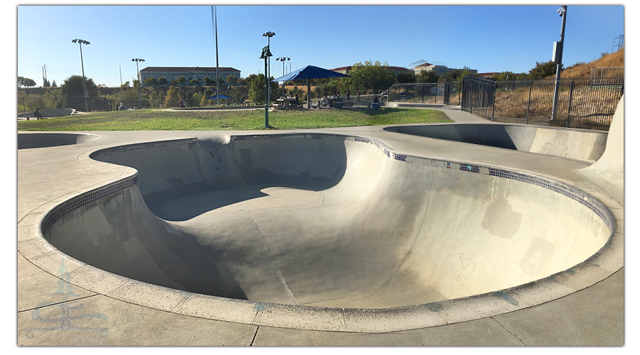 bean shaped pool bowl