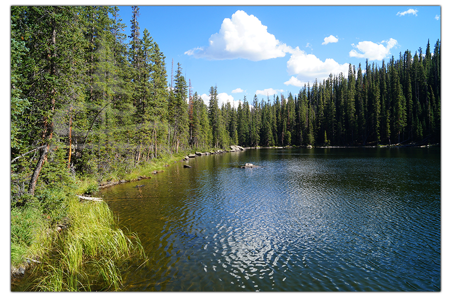 hiking to whitney lake surrounded by conifers