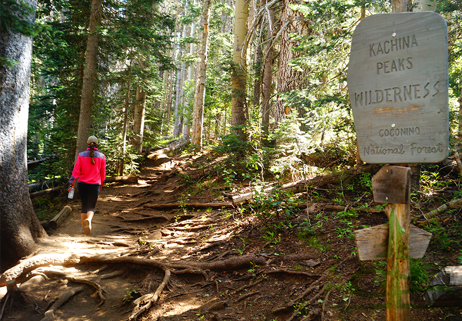 hiking the kachina peaks wilderness