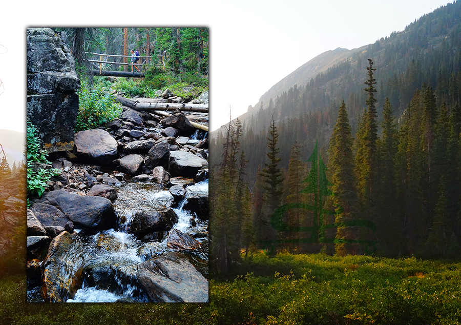 water crossings and a meadow at the beginning of missouri pass and fancy pass loop