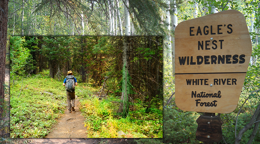 entering eagle's nest wilderness as we began our hike on pitkin lake trail