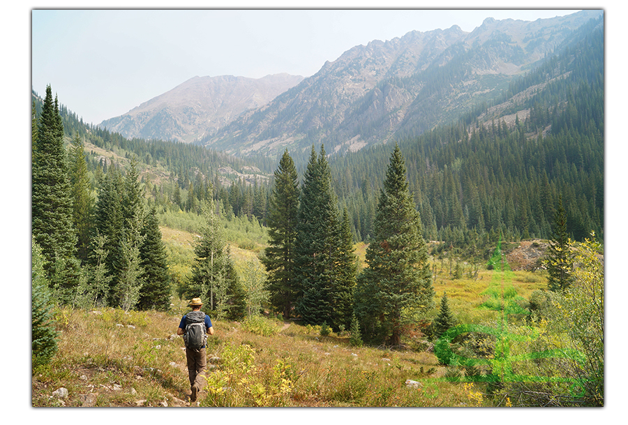 beautiful valley full of trees surrounded by towering mountains