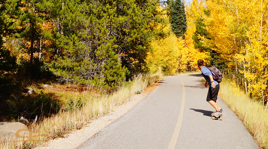 curves and mellow downhills