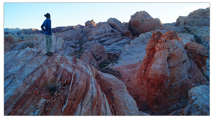 looking out at the vast scenery in valley of fire state park