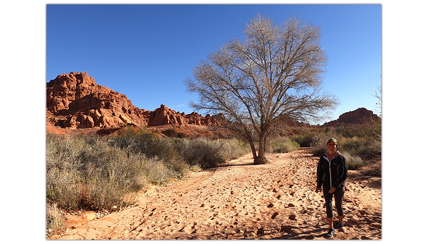 walking in the wash on natural arch trail
