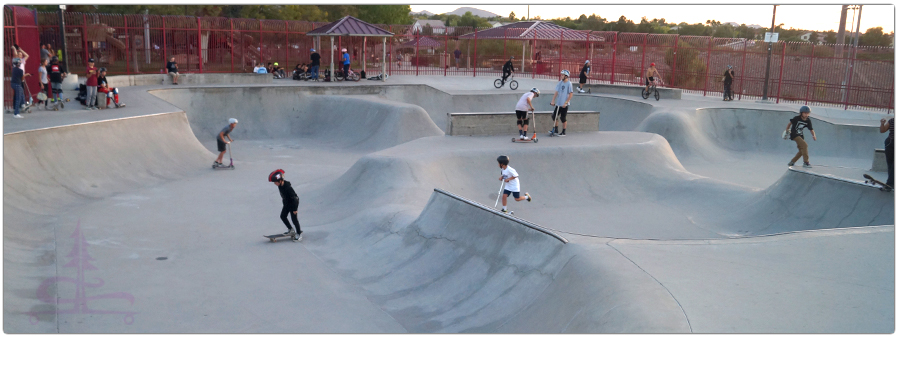 traffic at the skatepark