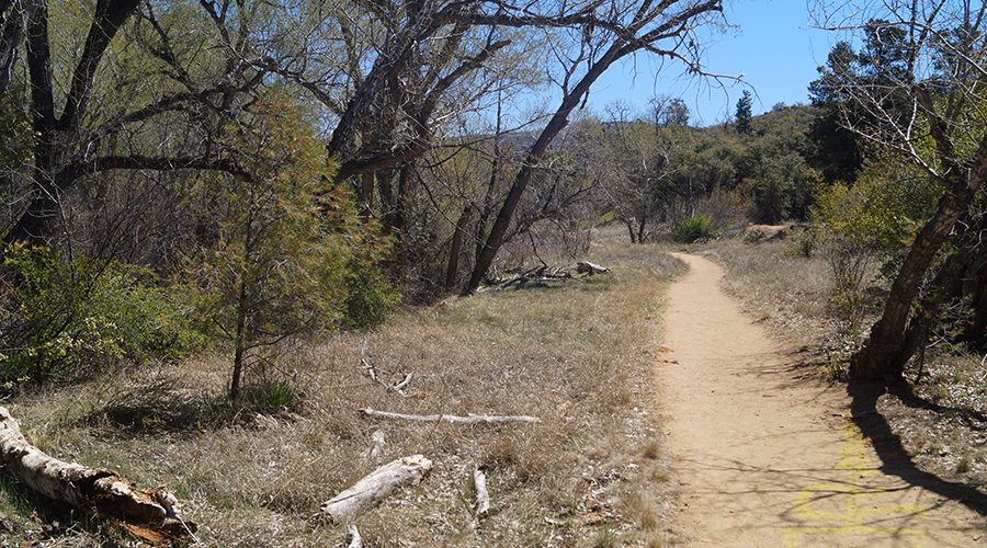trail near granite peak