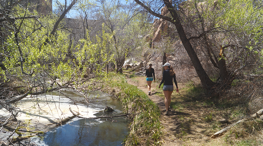 flat portion of the trail by the stream