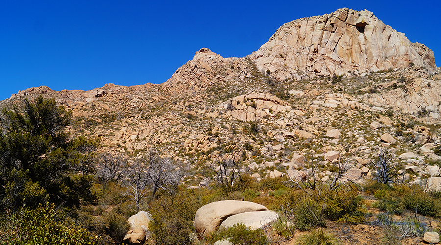 side trip to the summit of granite mountain